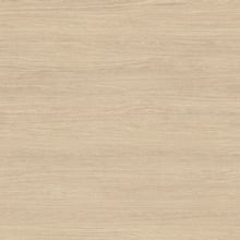 Elemental 750mm Freestanding Single Vanity with Removable Kickboard